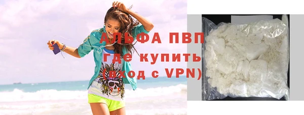 крисы Коряжма