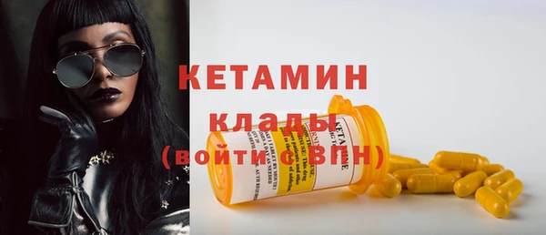 крисы Коряжма