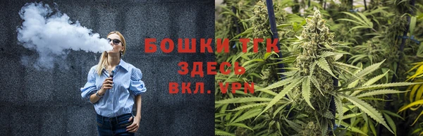 ECSTASY Костерёво