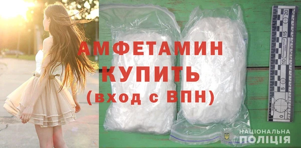 крисы Коряжма