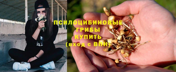 наркотики Краснослободск